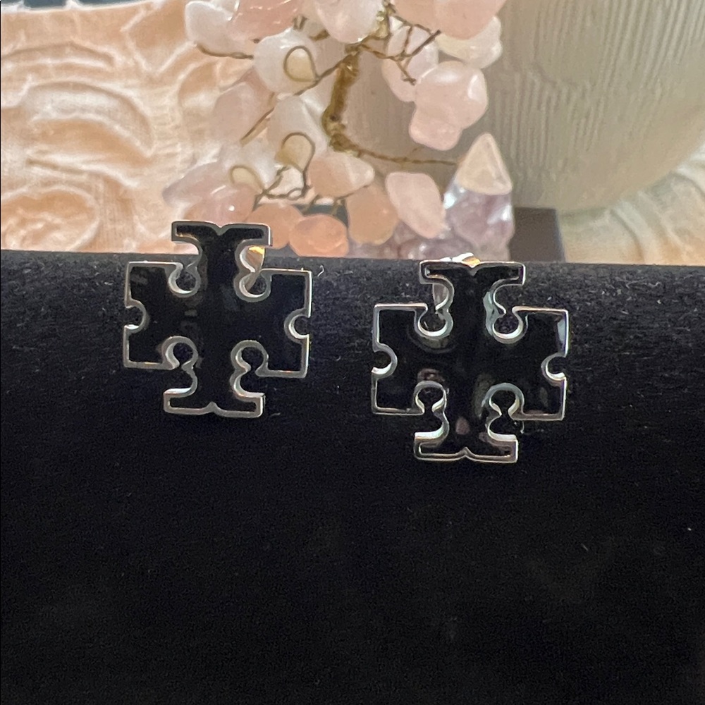 Stainless Steel Silver & Black  Earrings